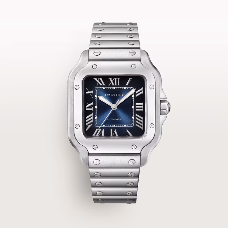 Santos de Cartier .avif