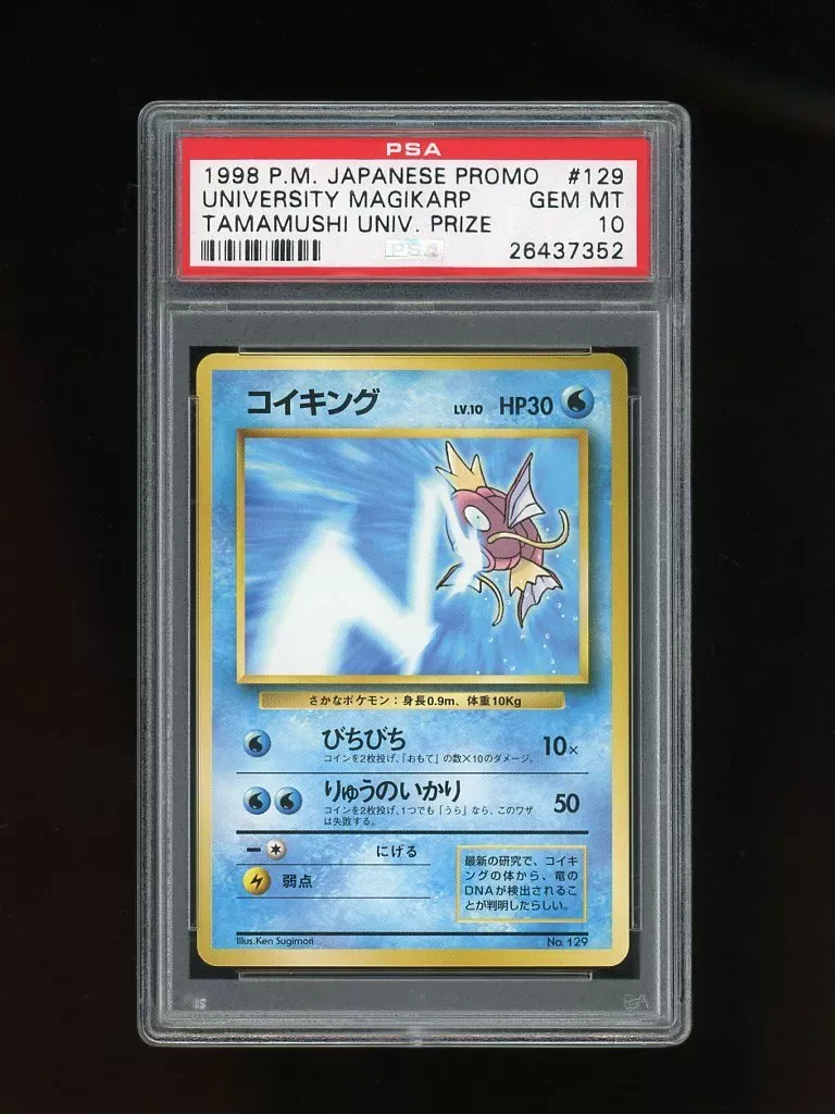 University Magikarp.webp