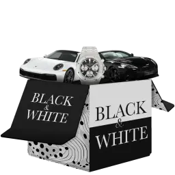 black and white.webp